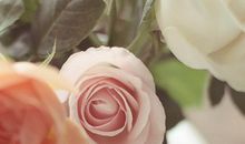 夫妻宫、财帛宫是为没主星的空宫