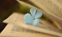 苏珊米勒2017年6月狮子座运势完整版