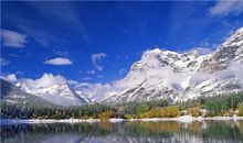 金爱伦2015年6月金牛座运势