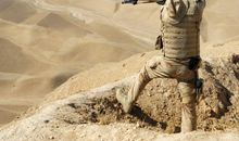 贝拉2015年6月双鱼座运势