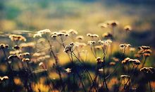 Alex双子座2018年4月运势