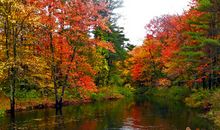 金秋十月，摩羯座会收获什么