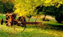 金秋十月，水瓶座会收获什么