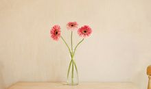 Alex双子座2018年2月运势