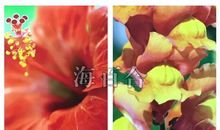 神准测试 || 你为什么忘不了旧情人？