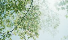 Alex狮子座2018年2月运势