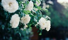 Alex巨蟹座2018年4月运势