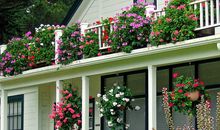 YAO叔2017年9月巨蟹座运势