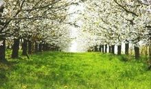 观星殿的谈笑（十）笑说风水