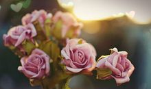 苏珊米勒一周运势（2014.9.14-.9.20）