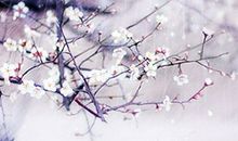 观星殿的谈笑 (九) 丰富的意象体系