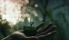 YAO叔2018年2月巨蟹座运势