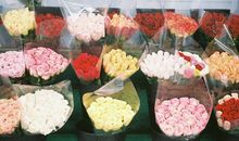 柒爸双鱼座一周运势（2.5-2.11）