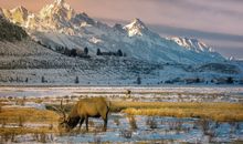 青衣一周星座运势（1.6-1.12）