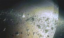 杀破狼本周星座运势2012年8月13—19日