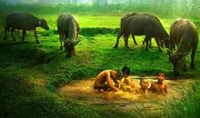 观星殿的谈笑（一）身宫