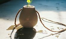 双星记2018年星座运势天蝎座