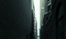 星语者Lucia狮子座2018年2月运势