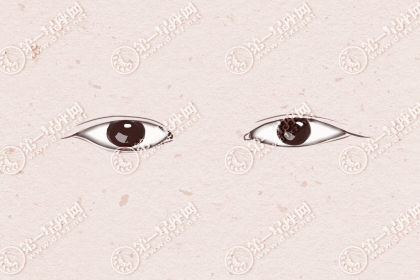 单眼皮分为几种眼形有什么特点