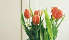 Eskey天蝎座2018年2月运势