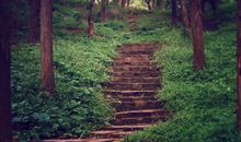 竹猫星球一周星座运势（2014.9.29-10.5）