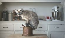 寂多蔓生金牛座一周运势（3.12-3.18）