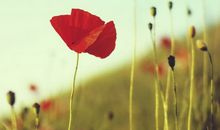 Boho Astro一周星座运势（2014.9.29-10.5）