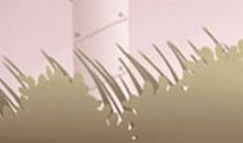 狮子座的趣谈时节是什么时候