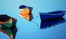 贝拉2015年6月射手座运势