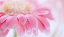 金爱伦2015年6月双鱼座运势