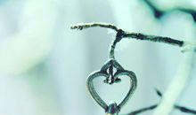 白羊座下周运势2014年2月16日～22日