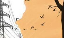 让处女座刻骨铭心的瞬间