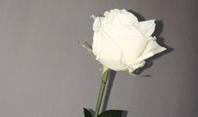 Geo老师2018年2月摩羯座运势