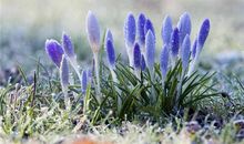 Eskey:射手座一周运势（5.7-5.13）