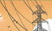 对金牛座表白应该送什么？