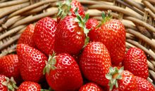 金爱伦2015年6月星座运势