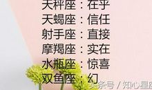 天蝎座对生活的态度