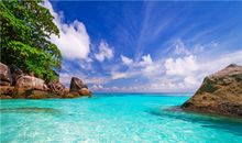 金爱伦2015年6月白羊座运势