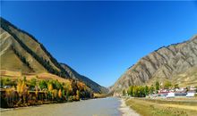 金爱伦2015年6月水瓶座运势