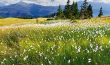 Eskey:处女座一周运势（5.7-5.13）