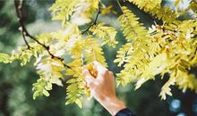 Eskey:摩羯座一周运势（5.7-5.13）