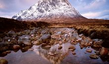 Julia Chen 2015年6月双子座运势