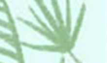 天蝎座和什么座最合拍