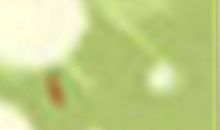 追天蝎女的几个小技巧