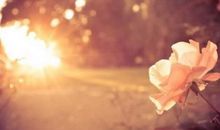 乔治娅2016年水瓶座占星运势