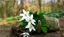 YAO叔:白羊座一周运势（5.7-5.13）