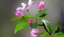 YAO叔:双子座一周运势（5.7-5.13）