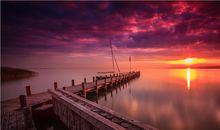 紫微斗数廉贞星2018年运势