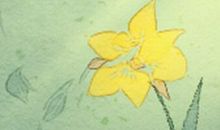 啥原因让处女座想换对象？