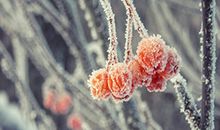 敢主动跳槽改变工作环境的星座